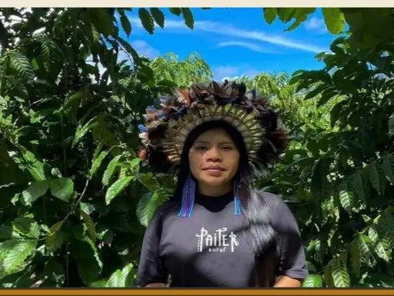 A Paiter Suruí grower among the coffee in the Sete de Setembro territory