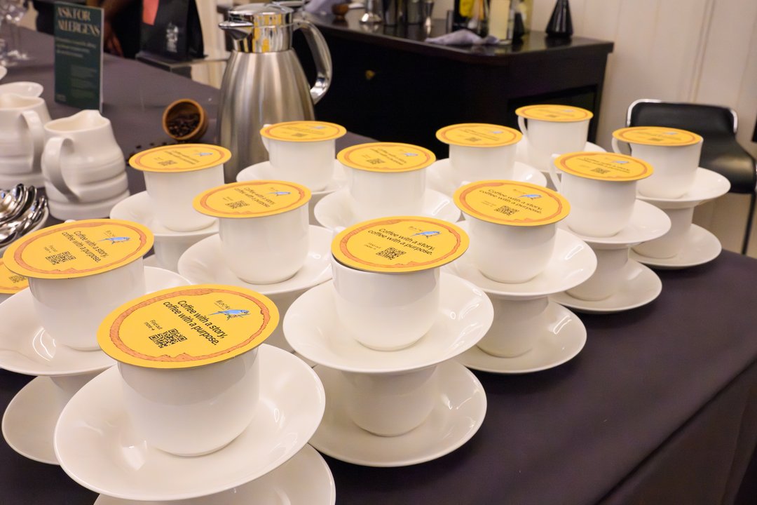 Coffee cups laid out at The Science of Coffee
