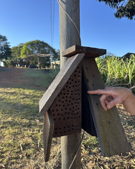A native stingless bee house on the farm