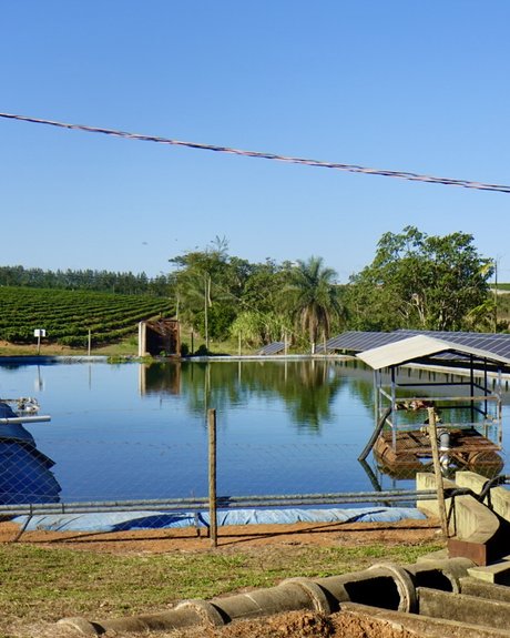 Floating solar panels on the farm's reservoir