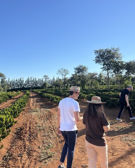 Walking the coffee rows with the farm team